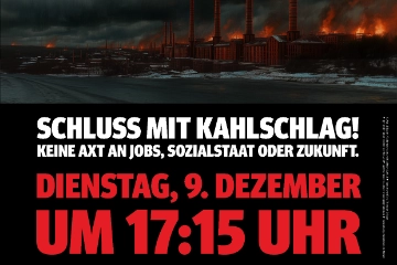 Advent, Advent ... unsere Zukunft brennt!
